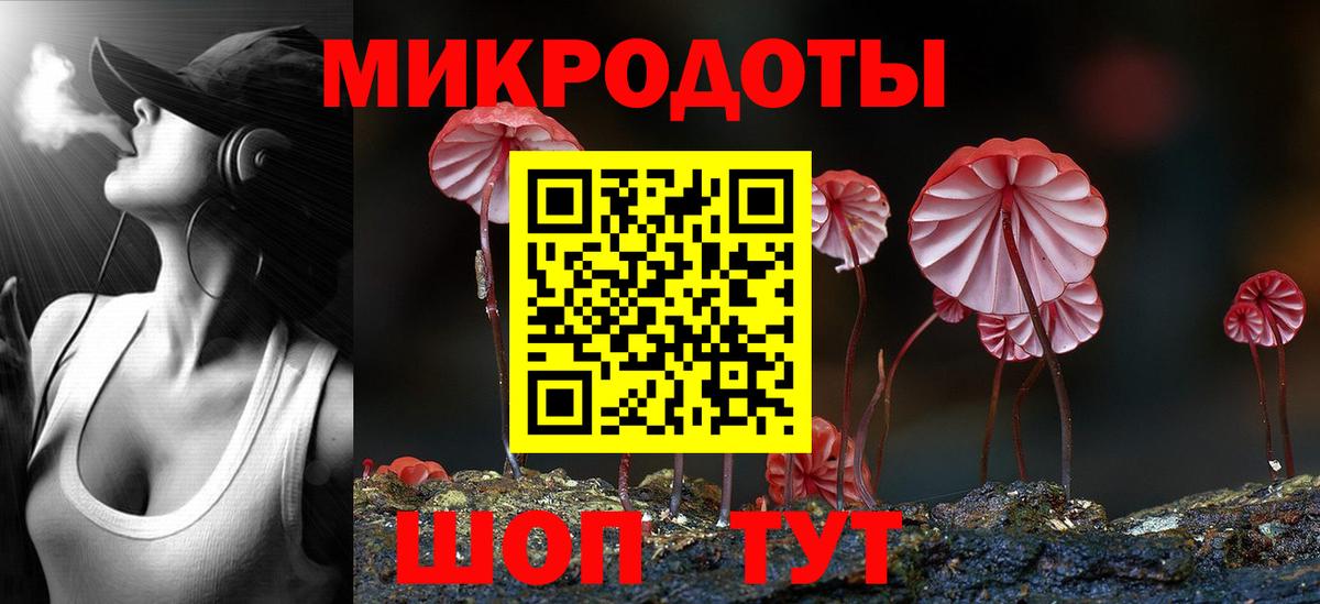 Псилоцибиновые грибы GOLDEN TEACHER Костомукша