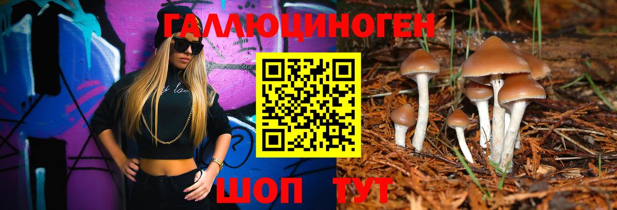 Псилоцибиновые грибы MAGIC MUSHROOMS  Вход с VPN  Костомукша 
