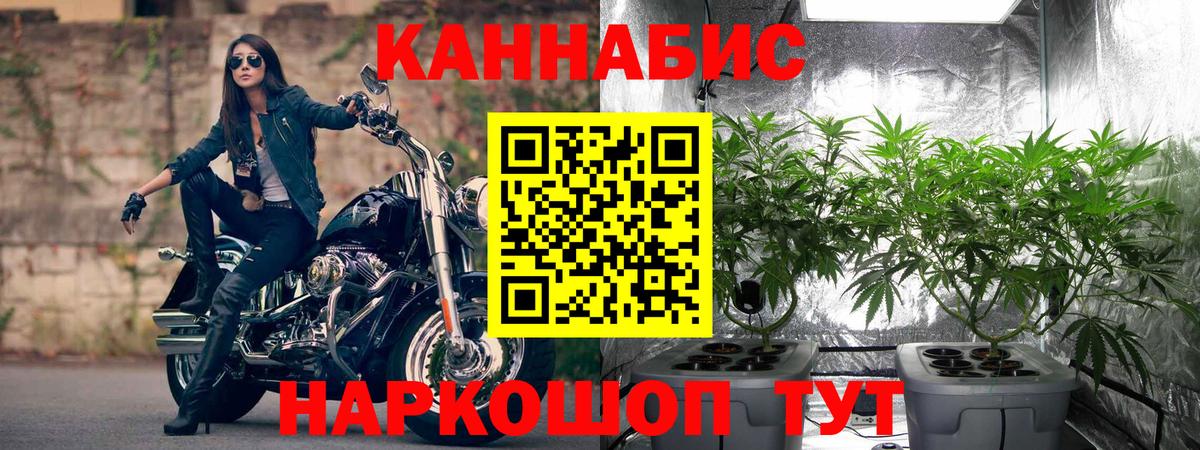 Костомукша  Каннабис тримм  Каннабис SATIVA & INDICA  Вход с VPN  Конопля Bruce Banner 